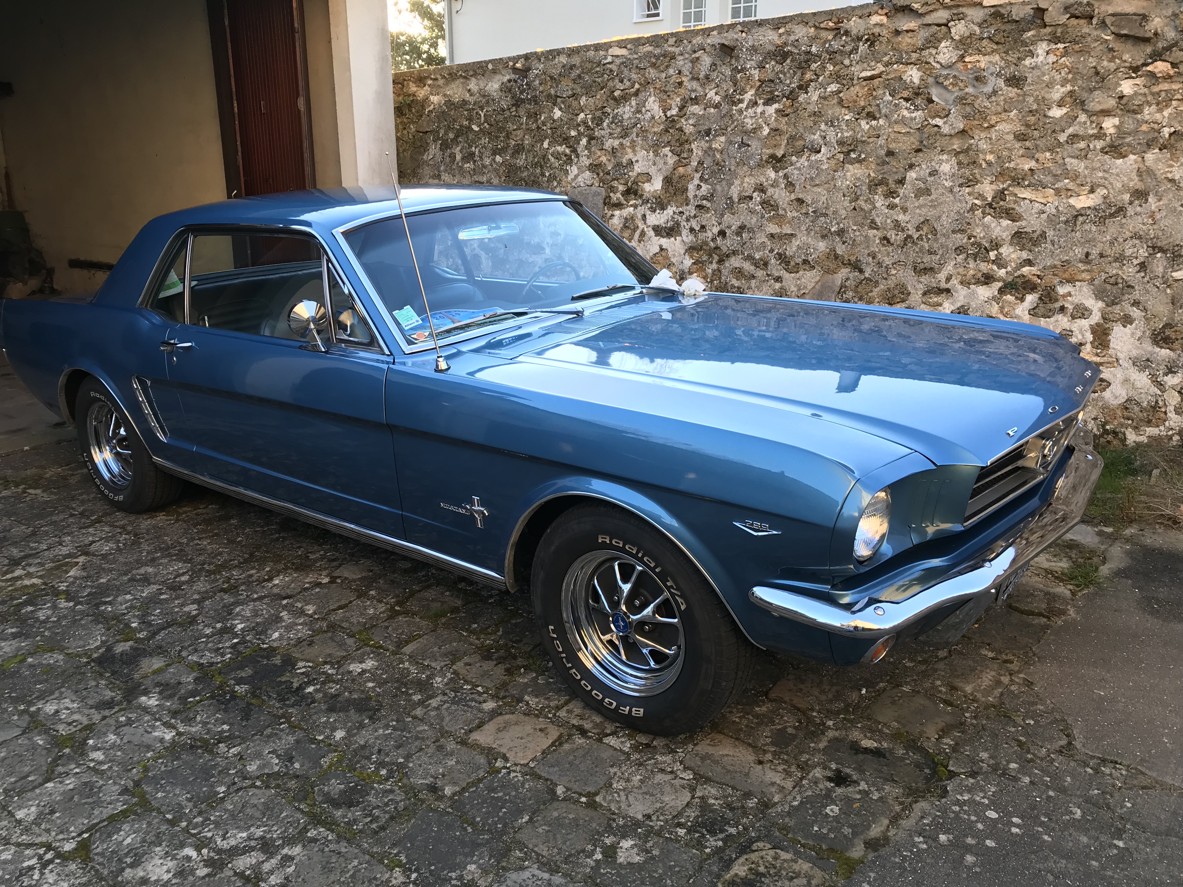Mustang 65.jpg