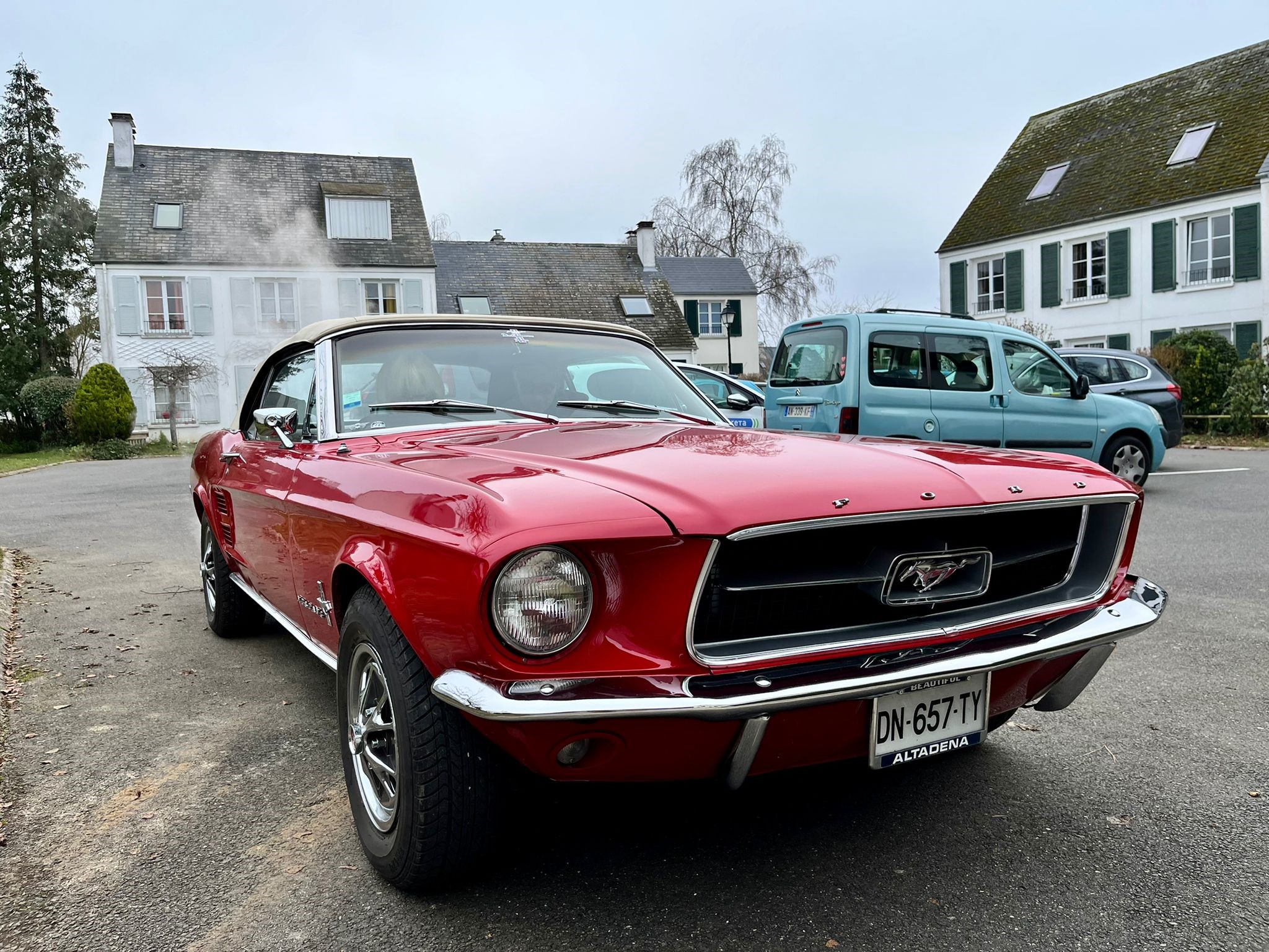 Mustang 1.jpg