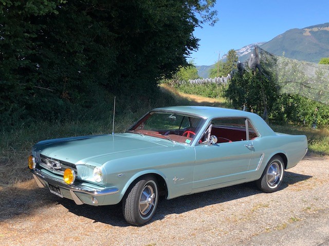 mustang nouvelle peinture.jpg